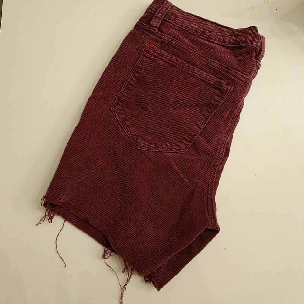 BDG Urban Outfitters Purple Shorts